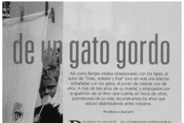 Retrato de un gato gordo