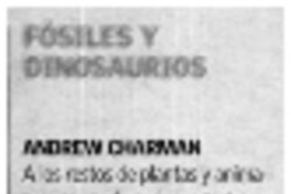 Fósiles y dinosaurios.