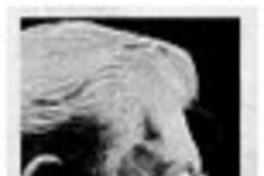 Vargas Llosa y García Márquez no se topan.