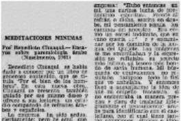 Meditaciones mínimas