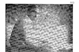 Quién mató a Arguedas?.