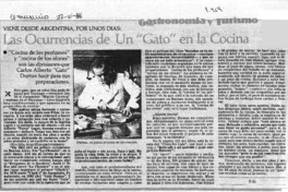 Las ocurrencias de un "Gato" en la cocina