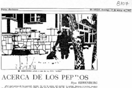 Acerca de los perros