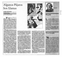 Algunos pájaros son llamas