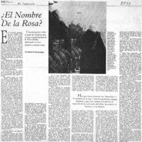 El nombre de la rosa?