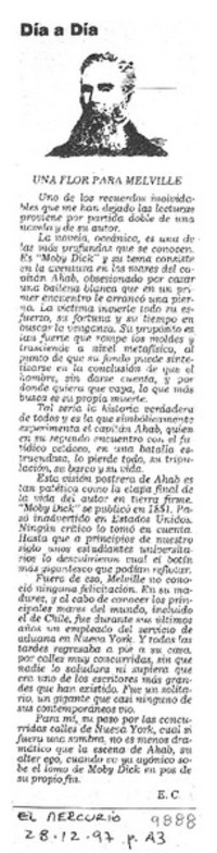 Una flor para Melville