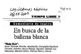 En busca de la ballena blanca