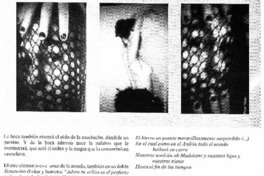 Poeta de los vulgares