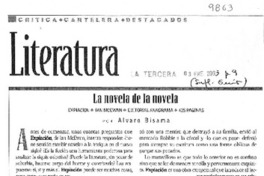 La novela de la novela