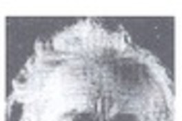 Nicanor Parra, ni tonto ni solemne