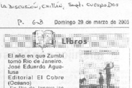 El Año en que zumbí