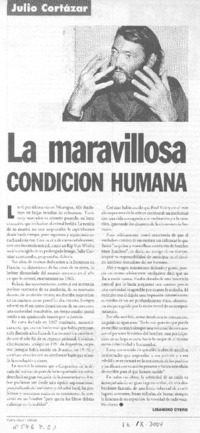 La maravillosa condición humana