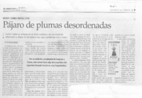 Pájaro de plumas desordenadas