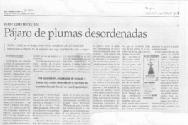 Pájaro de plumas desordenadas