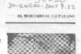 Guerrillero de ficción