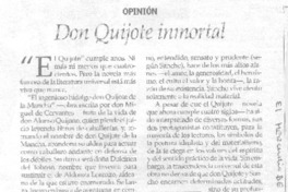 Don Quijote inmortal
