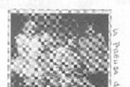 Gran interés por "Tengo miedo torero"