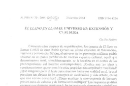 El llano en llamas : universo en extensión y clausura