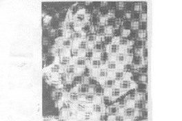 Obra teatral "Tres tristes tigres"