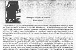 La estúpida velocidad de las cosas