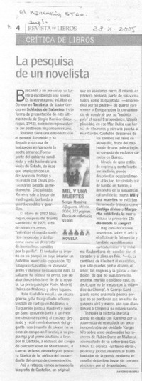 Pesquisa de un novelista