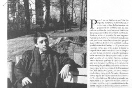 Hernán Valdés, poeta y novelista : "La Comisión debe reparar sus omisiones" [entrevista]