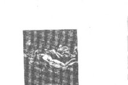 Miguel Serrano Fernández : La flor inexistentte