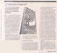 Comentario : ¿Y cómo será el despertar?