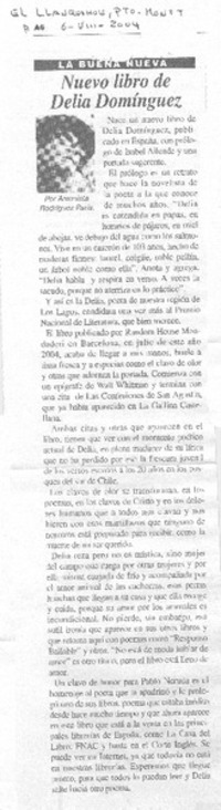 Nuevo libro de Delia Domínguez.