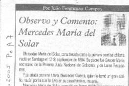 Observo y comento: Lenka Franulic