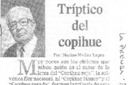 Tríptico del copihue