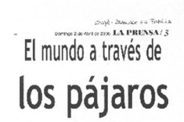 El Mundo a través de los pájaros