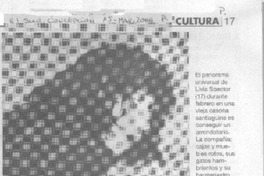 "Verano robado" llega al estante penquista