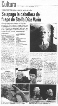 Se apagó la cabellera de fuego de Stella Díaz Varín