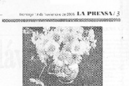 Los Quehaceres de Juany