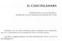 El caso Palamara