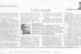 Vidrio molido