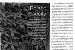 Bolaño resucita