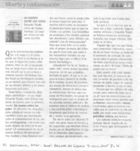 Muerte y contaminación
