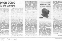 Ladrón como gato de campo