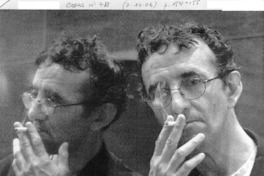 El reptil del desierto de sonora