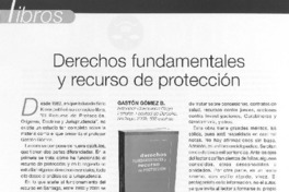 Derechos fundamentales y recurso de protección