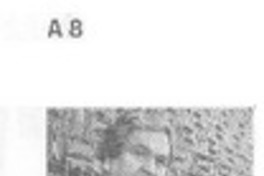 Premio Casa de América para chileno