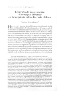 Ecografía de una gestación