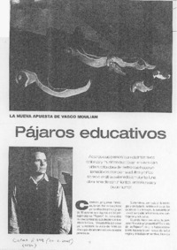 Pájaros educativos