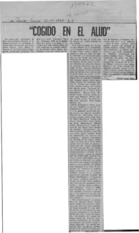 Homenaje  [artículo] Juan Meza Sepúlveda