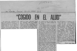 Homenaje  [artículo] Juan Meza Sepúlveda