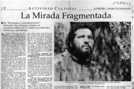 La mirada fragmentada  [artículo] Carolina Andonie Dracos