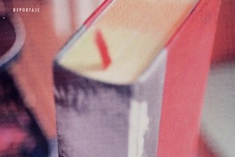 Gabriela Mistral pura provocación  [artículo] Loreto Novoa