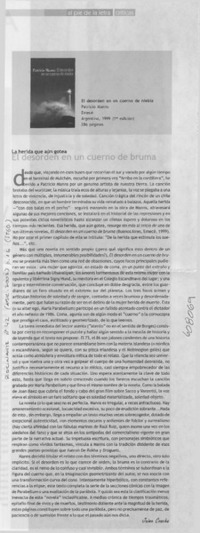 El desorden en un cuerno de bruma  [artículo] Jaime Concha